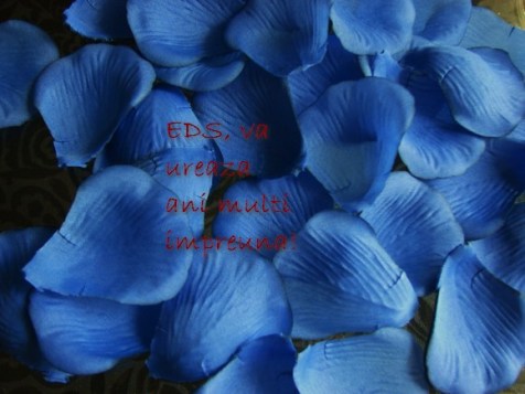 Petale trandafir albastru